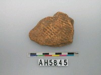 藏品(紅色方格紋陶片)的圖片